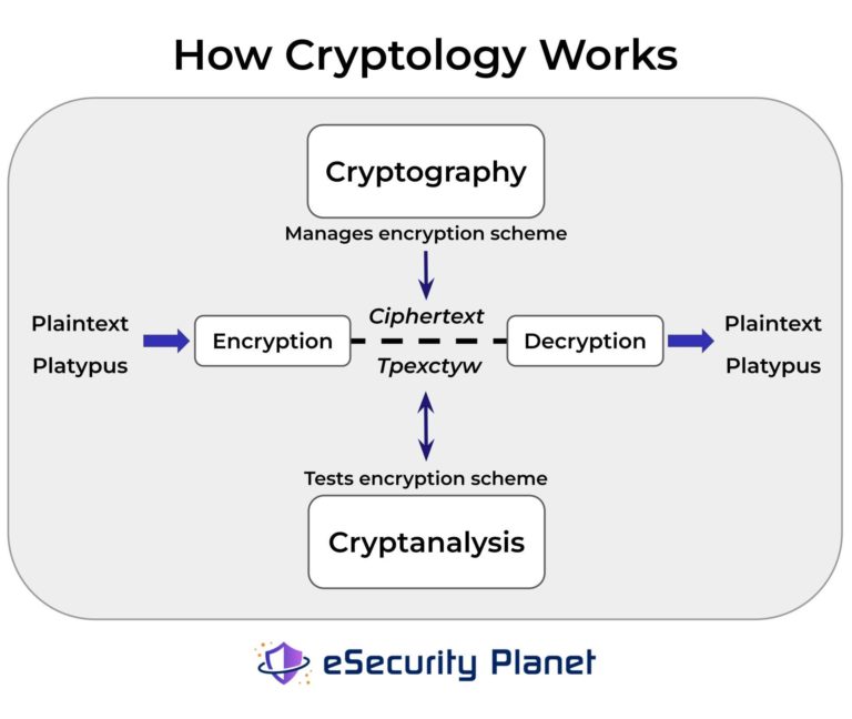 What Is Encryption? Definition, How it Works, & Examples