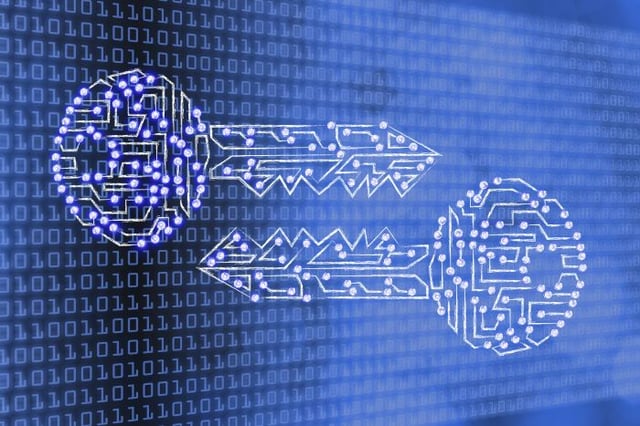 Patch Management Policy: Steps, Benefits and a Free Template